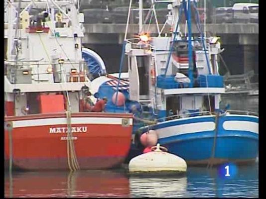  - Se volverá a pescar anchoa