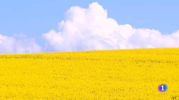 Informativo Telerioja - Telerioja en 2' - 26/04/22