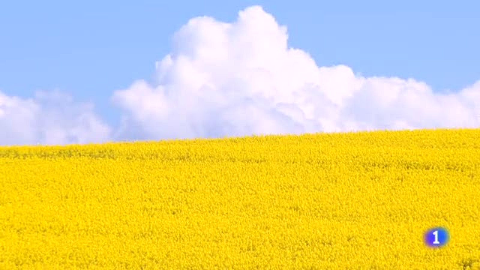 Informativo Telerioja - 26/04/22 - Ver ahora