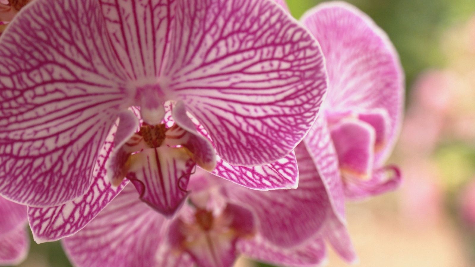 Aquí la Tierra - 26/04/22 - ver ahora