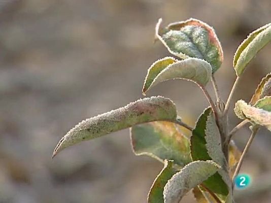L'Informatiu - El temps - 16/12/09