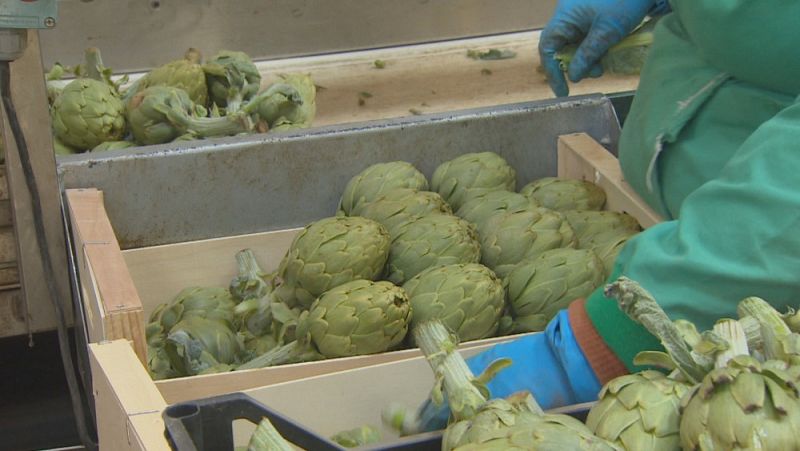 El sector agroalimentario de Navarra, referente en España