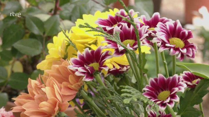 Aquí la Tierra - Trucos para conservar las flores