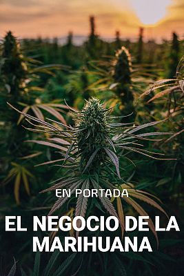 En portada - El negocio de la marihuana