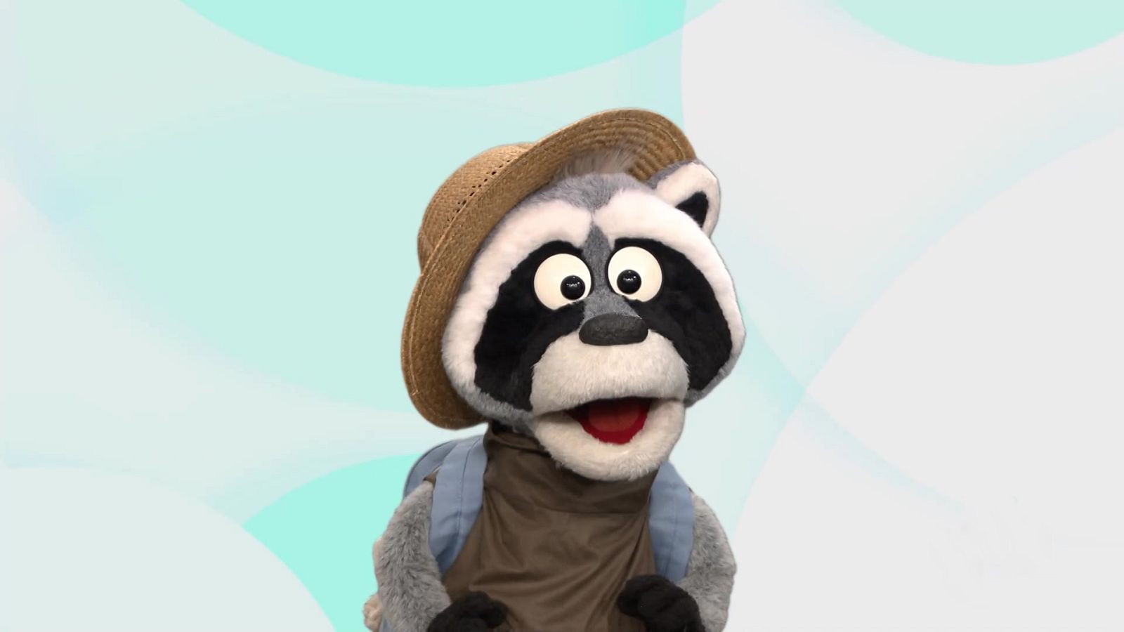 ¡Mapache explorador! - Aprendemos en Clan | Ver