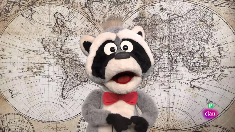 'Est� mapachando' - Mapache explorador y m�s - Aprendemos en Clan | Ver