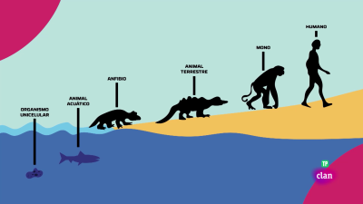 Mirada de explorador