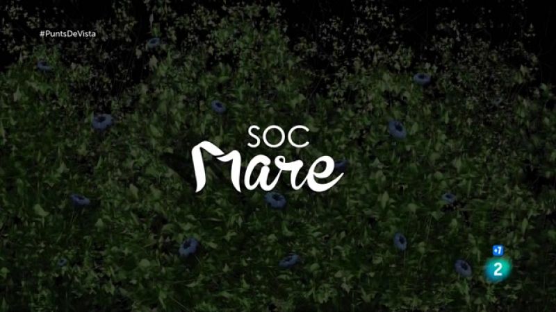 Punts de vista - La maternitat des de tots els angles a 'Soc mare'