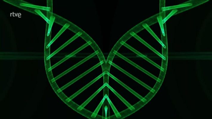 La aventura del Saber - ¿Para qué nos sirve conocer el genoma humano?