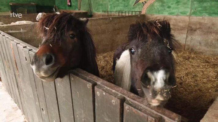 Aquí la Tierra - Granja escuela: una familia muy animal
