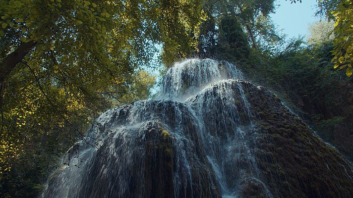 Jardines con historia - Zaragoza: Monasterio de Piedra
