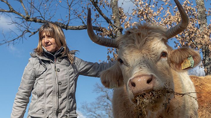 Telediario 1 - Los ganaderos reivindican su papel en la cadena alimentaria: "El eslabón más débil siempre somos los productores"