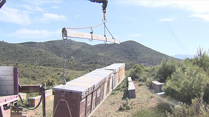 Telediario 2 - Los costes de producción se disparan en el campo y el mar