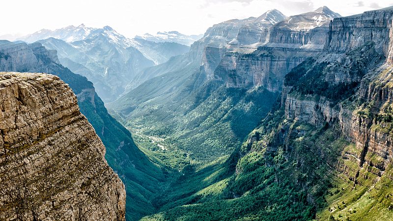 El escarabajo verde - Los parques naturales