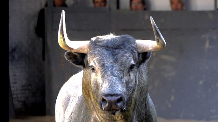 Tendido cero - Tendido cero - 30/04/22