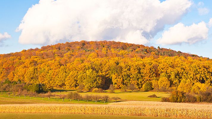 Turismo rural en el mundo - Alemania: Parque nacional Spessart