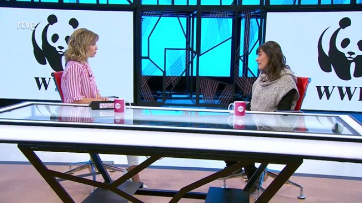 La aventura del Saber - Restaurar los ecosistemas degradados