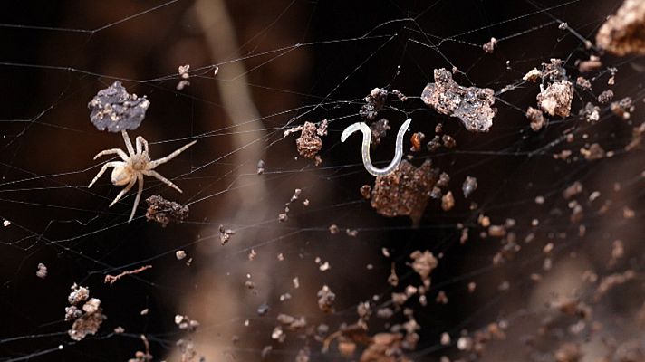 En portada - Ladrones de mentes