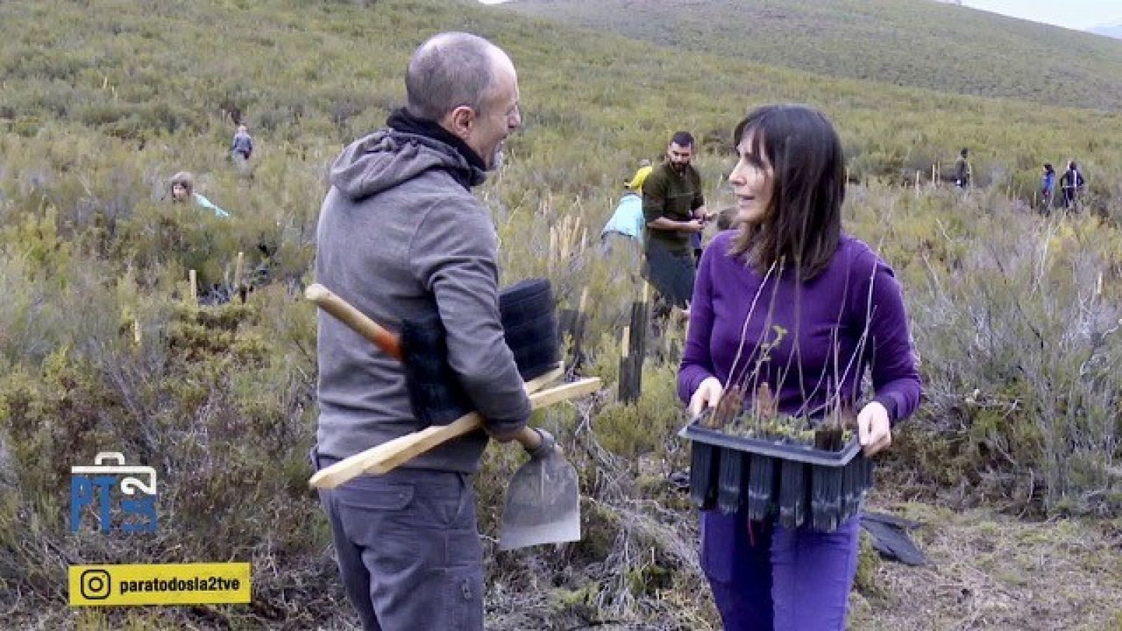Fantástico Bosque. Un proyecto de reforestación cumplido en Valdavido