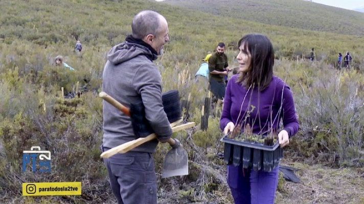 Para todos La 2 - Reforestación en León