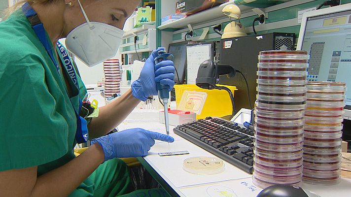 Telecanarias - Muchos microorganismos se han hecho fuertes a los antibióticos