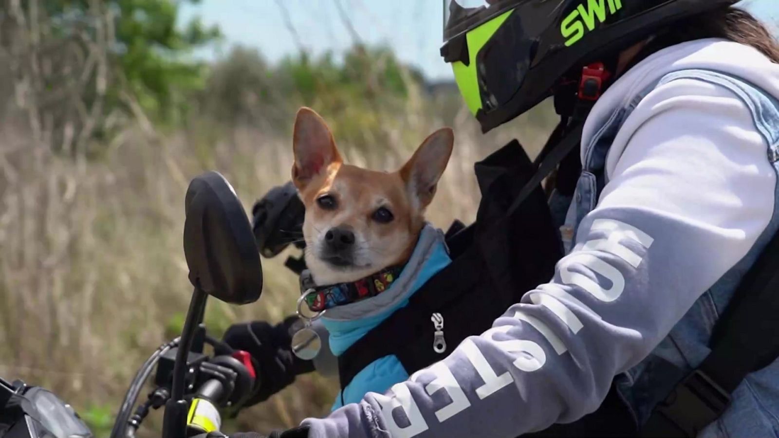 Seguridad vital - 15/05/22 - ver ahora