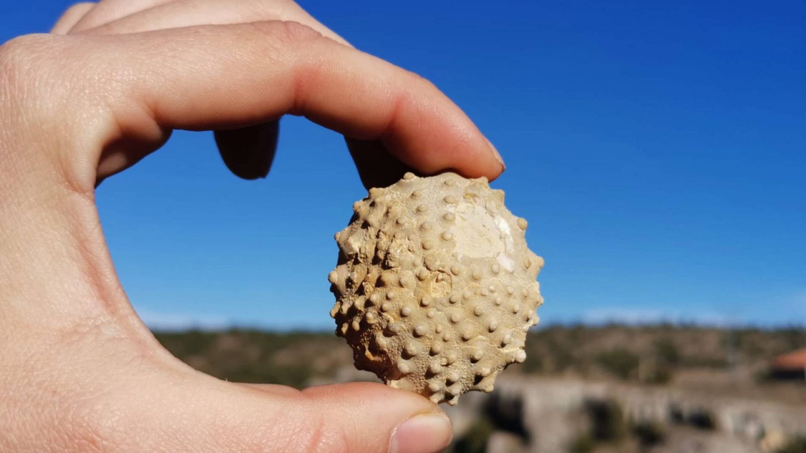 España Directo - Atlas de lo pequeño: Cuando Jabaloyas se bañaba en mar