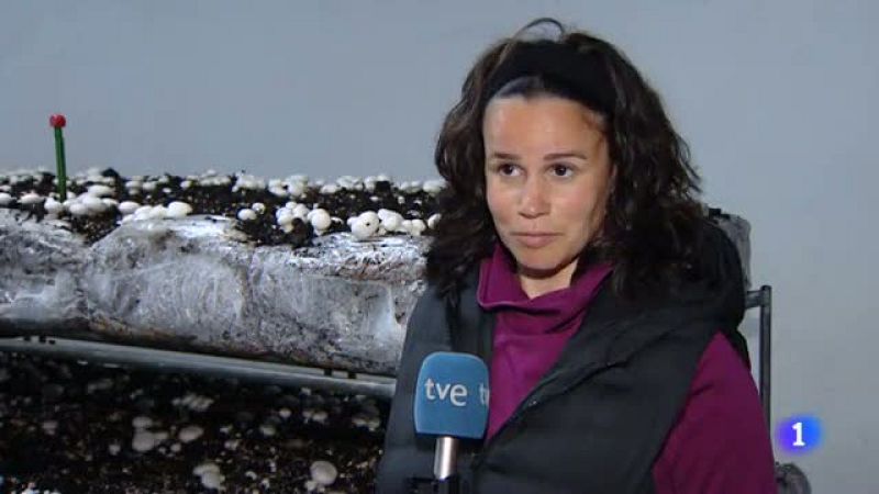 Informativo Telerioja - 06/05/22 - Ver ahora