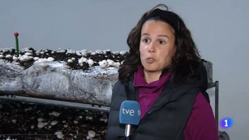 Informativo Telerioja 2 - 06/05/22 - Ver ahora