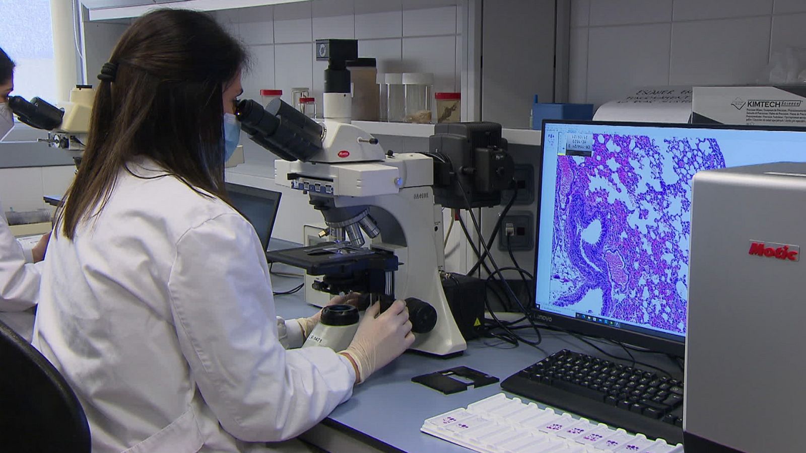 El escarabajo verde - Una sola salud - ver ahora