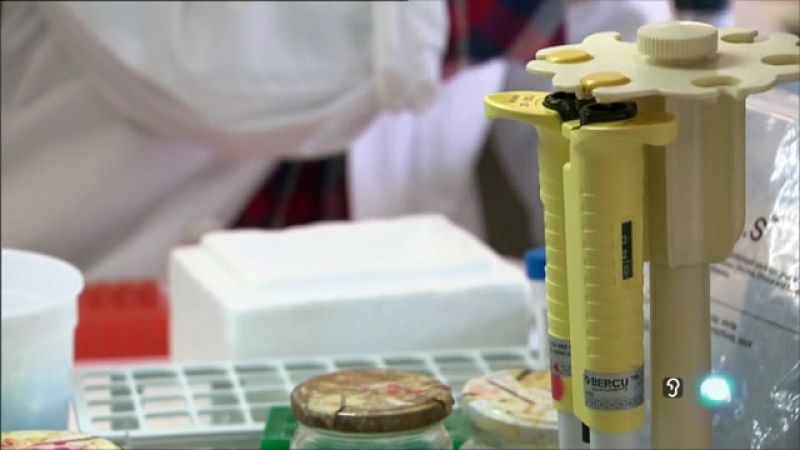 Telecanarias 2 - 06/05/2022 | Ver