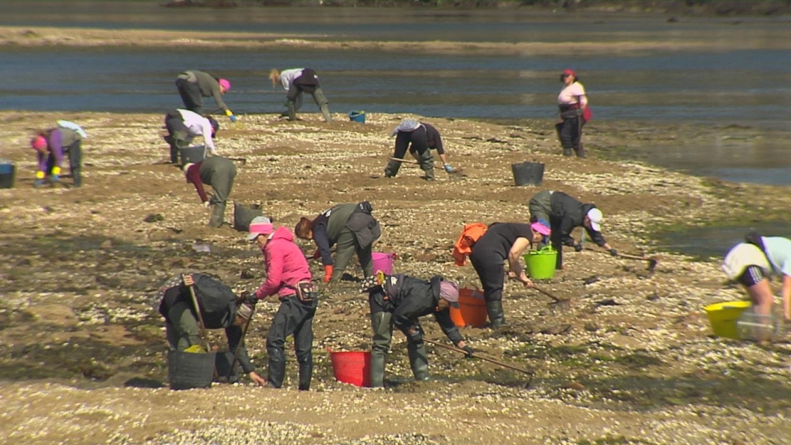 Agrosfera - 07/05/22 - ver ahora