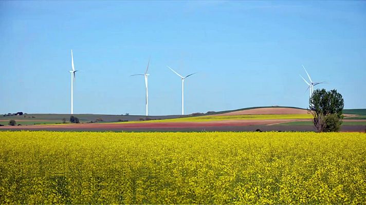 El tiempo - Cielos poco nubosos salvo en Pirineos, extremo norte peninsular y Baleares