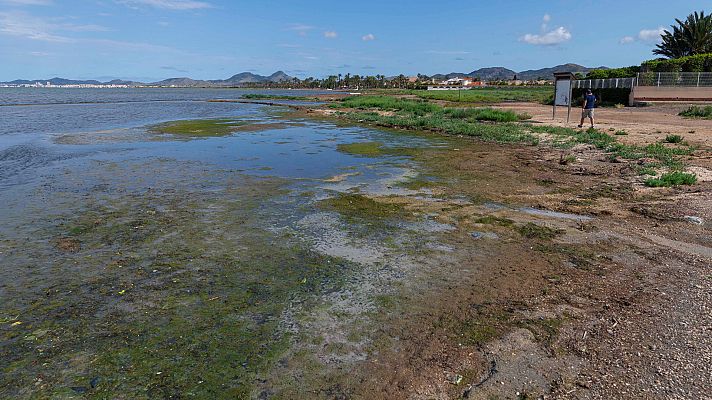Informe Semanal - La agonía del Mar Menor - ver ahora