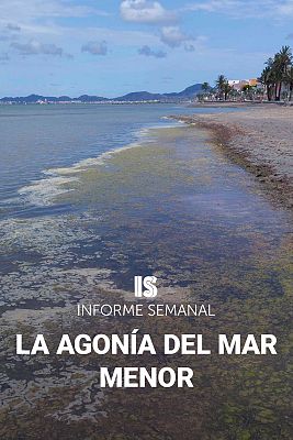 La agonía del Mar Menor