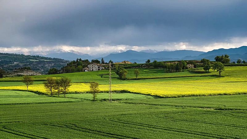 Predominarán cielos poco nubosos o con intervalos de nubes medias y altas en la mayor parte del país - ver ahora