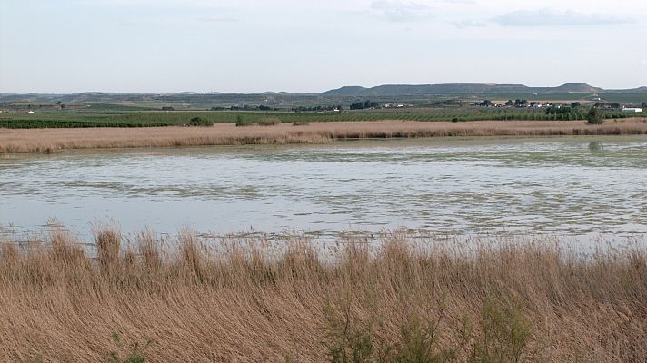 Telediario Fin de Semana - Una filtración de pesticidas deja sin agua potable a 25 pueblos en Lleida