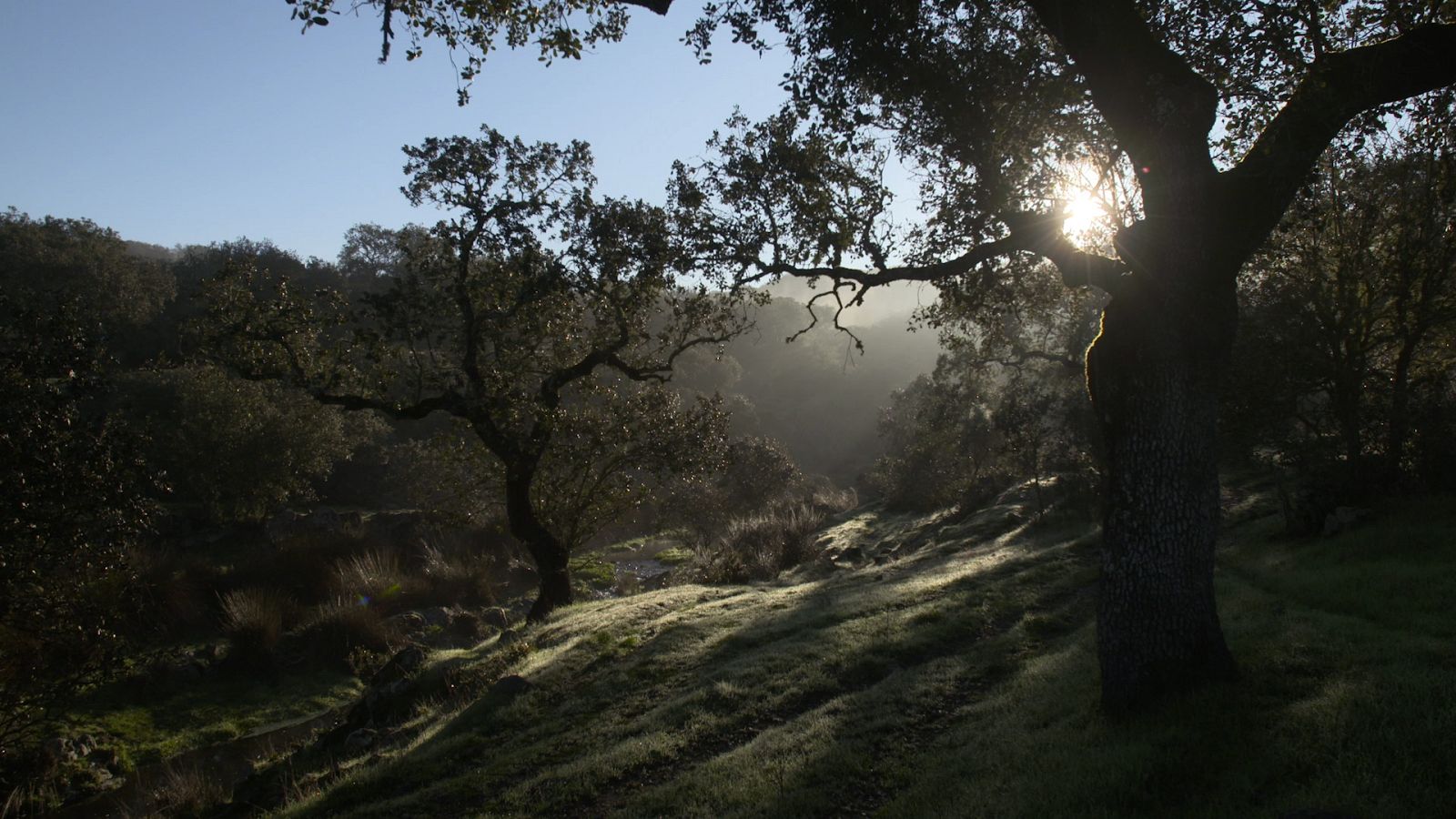 Turismo rural en el mundo - Badajoz: de Llanos de Olivenza a la Sierra de Tentudía - ver ahora