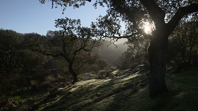 Turismo rural en el mundo - Badajoz: de Llanos de Olivenza a la Sierra de Tentuda - ver ahora