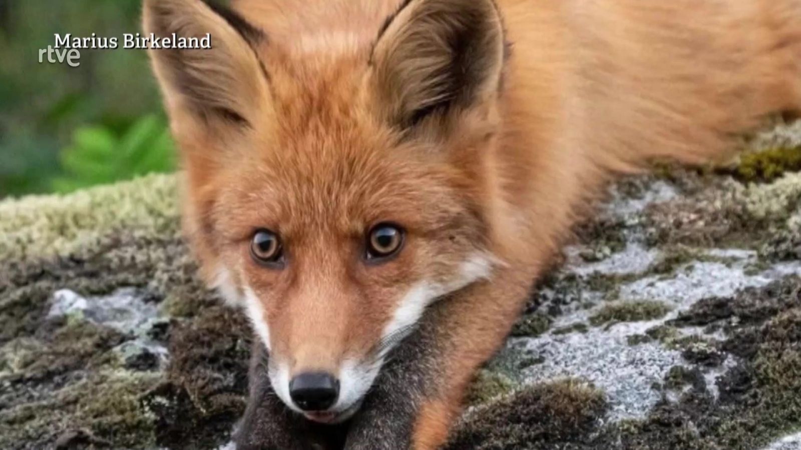 Aquí la Tierra - 08/05/22 - ver ahora