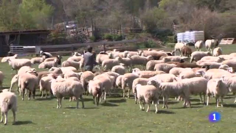 Telerioja en 2' - 09/05/22-Ver ahora