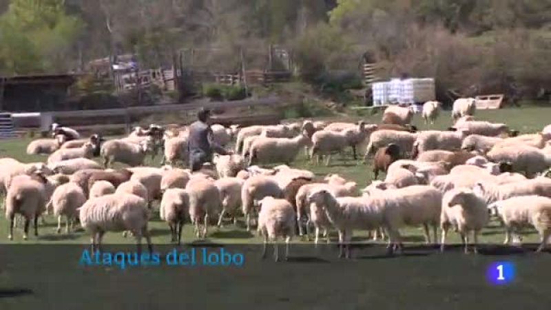 Informativo Telerioja 2 - 09/05/22