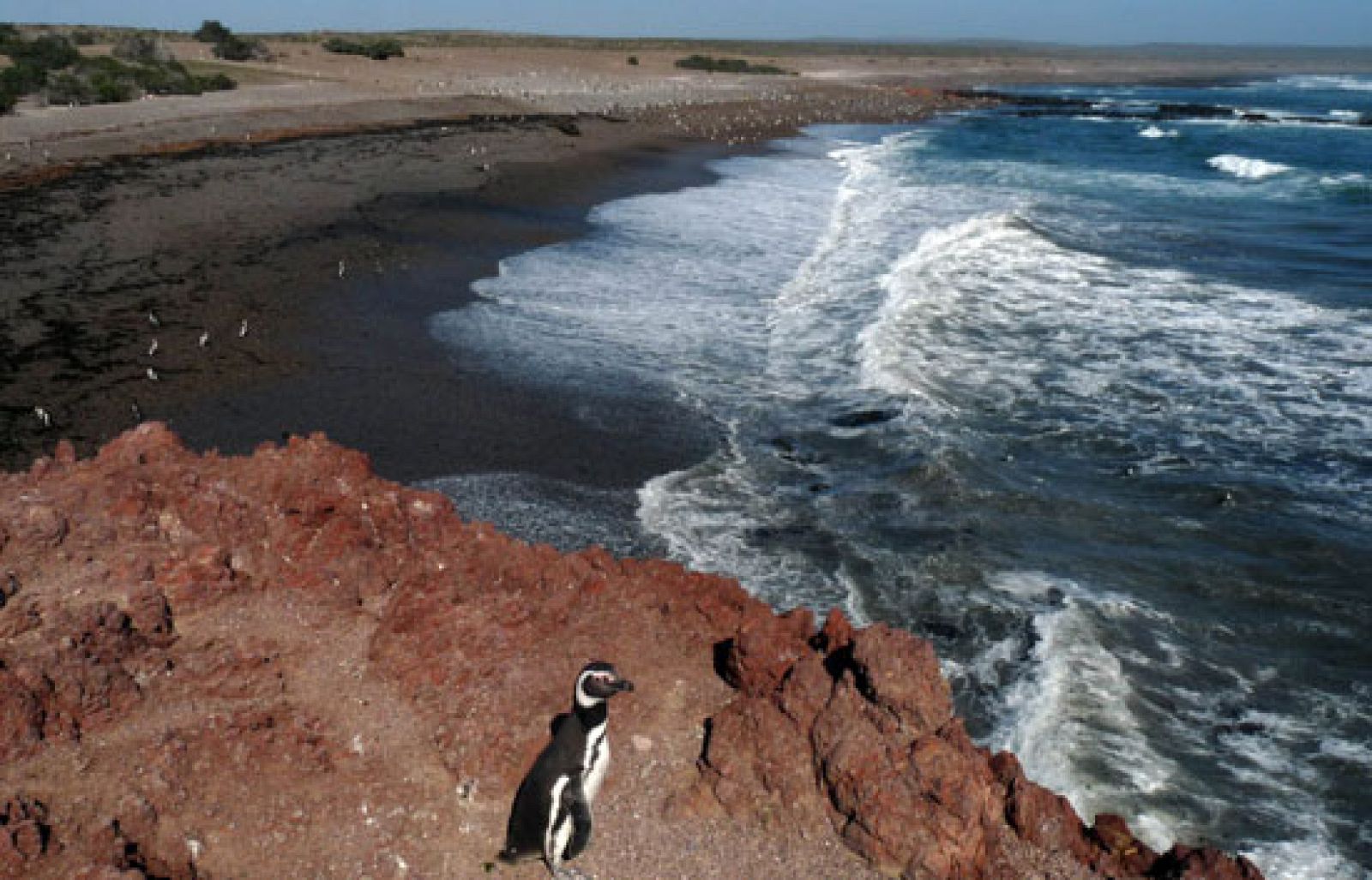 Informe semanal - Copenhague: La Tierra en juego | Ver