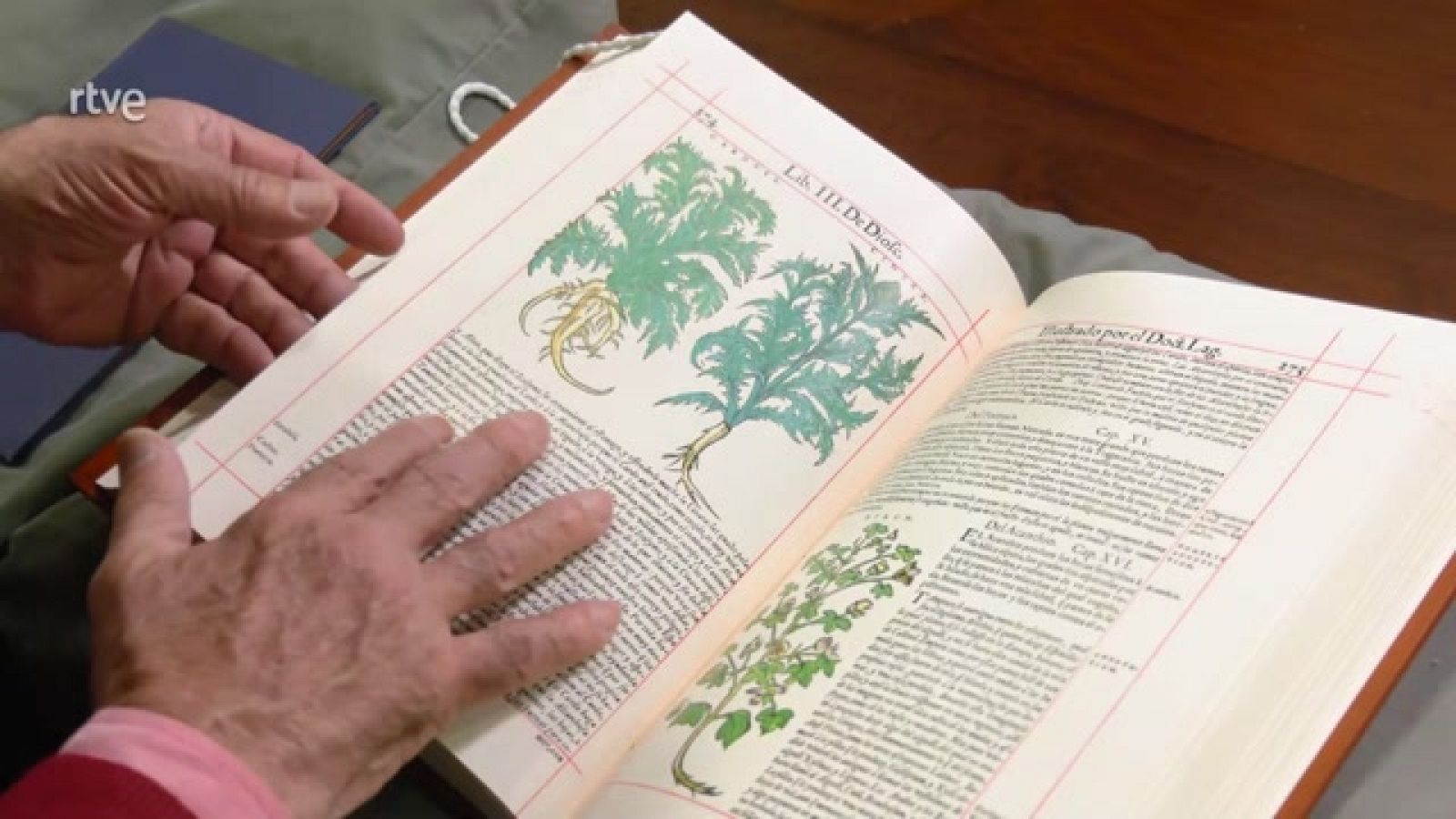 Aquí la Tierra - La Biblia de las plantas y la Biblioteca Nacional