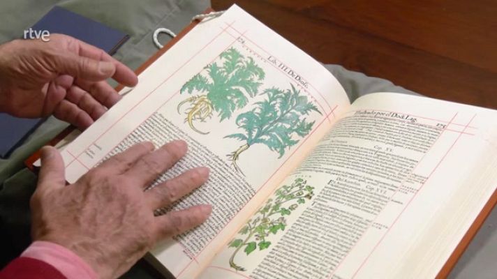 Aquí la Tierra - La Biblia de las plantas y la Biblioteca Nacional