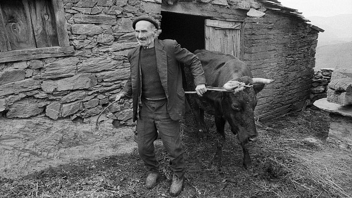 Detrás del instante - Anna Turbau