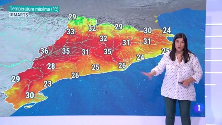 El temps - Caloreta, calor i calorada