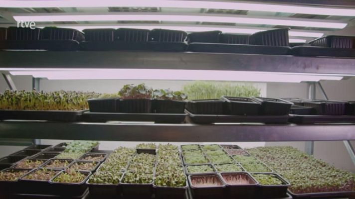 La aventura del Saber - Inter Rives Bulgaria: Las micro plantas