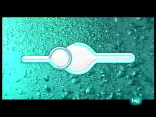 Bubbles - Maldivas