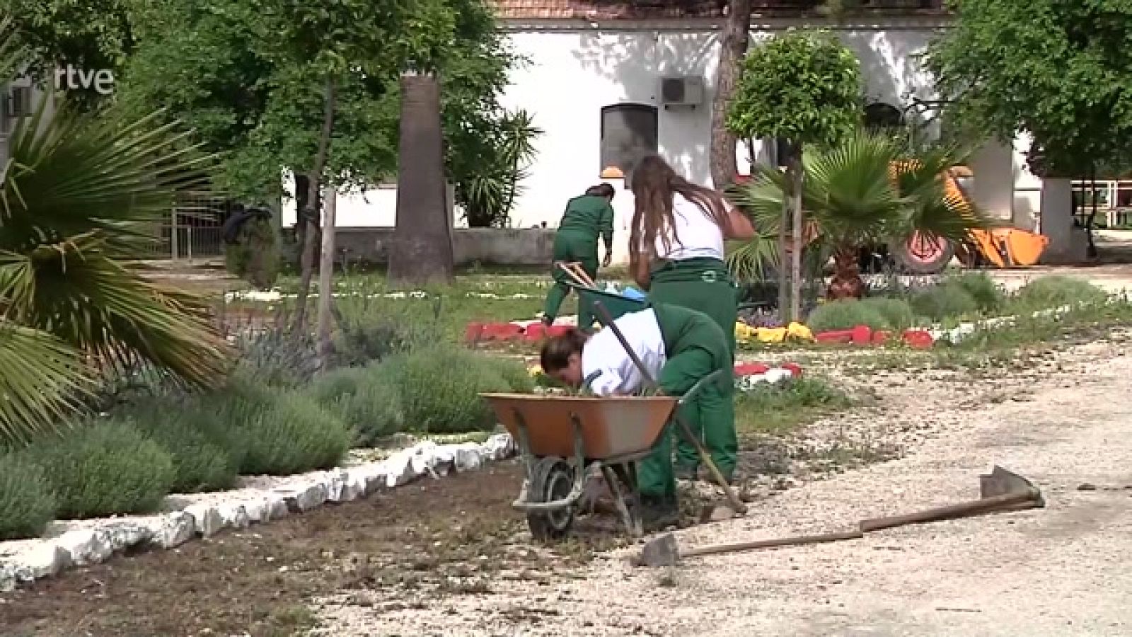 Aquí hay trabajo - Estudiar y cobrar un sueldo - ver ahora